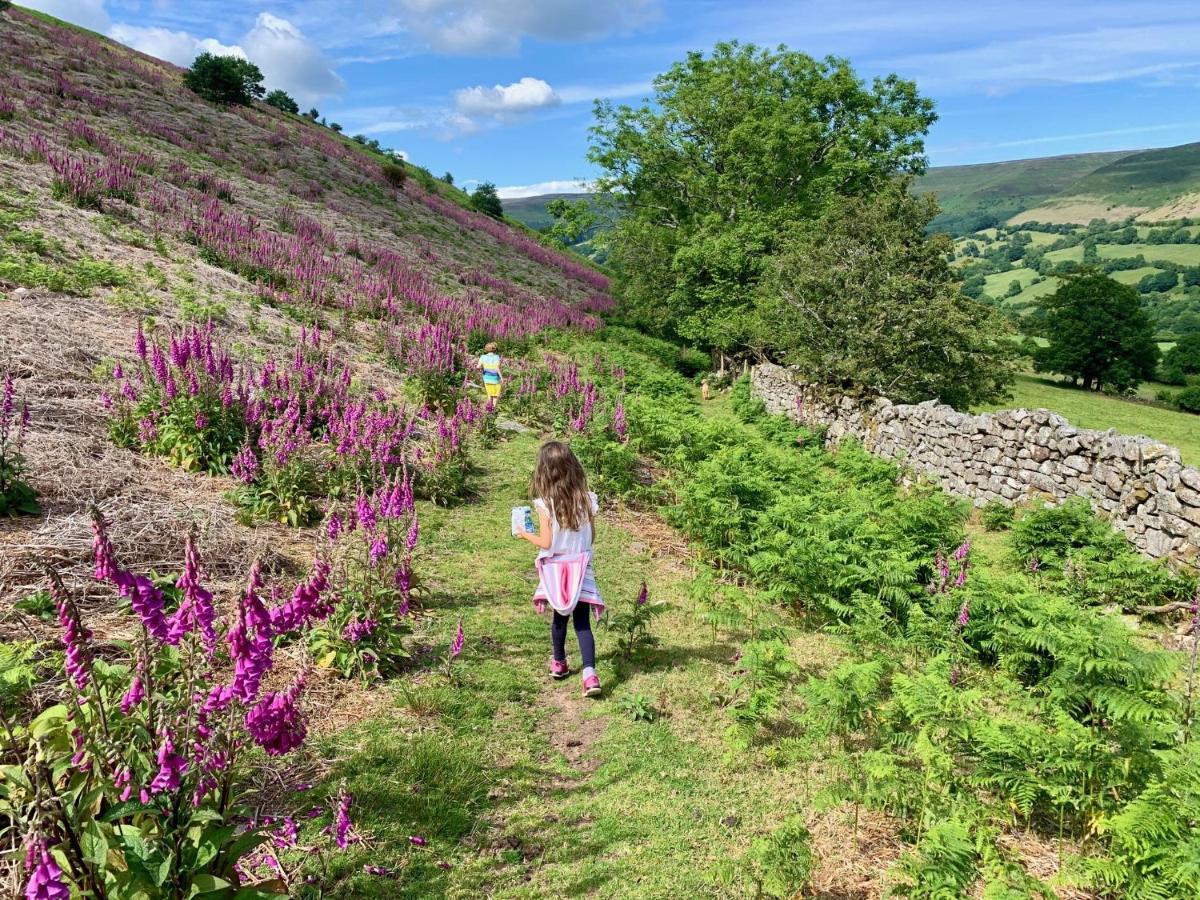 Black Mountains Stylish Hideaway, Nr Crickhowell Llanbedr  Экстерьер фото